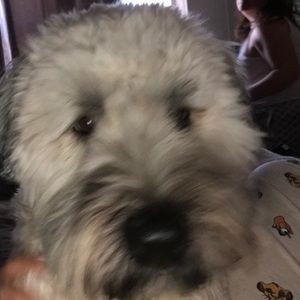 Meet your Posher, Jeannette